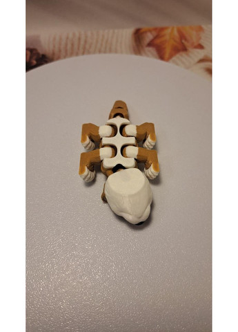 Рухлива флексі іграшка "Видра" 3D друк No Brand (372186016)