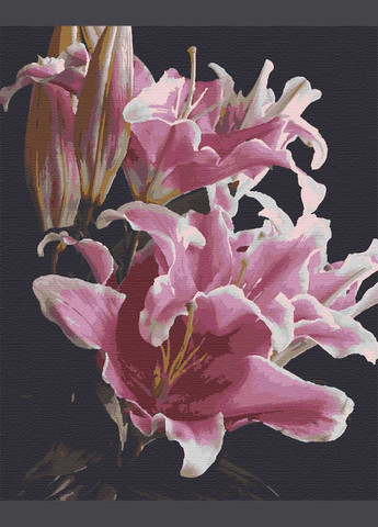 Картина за номерами Лілеї 40x50 см (RB-0241) Riviera Blanca (305222500)