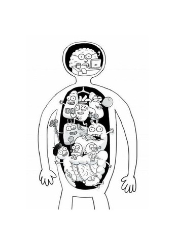 Энциклопедия дошкольника "Анатомия для детей" 154101 No Brand (329894427)