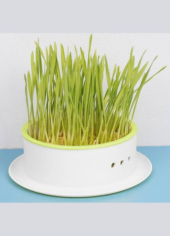 Лоток для гідропонного вирощування мікрозелені та розсади круглий білий з жовтою вставкою (NR0168_2) No Brand (303898386)