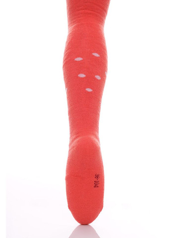 Махровые колготы для девочки с котиком в шапке кораловые 98 см (50506) BABYKROHA (315721515)