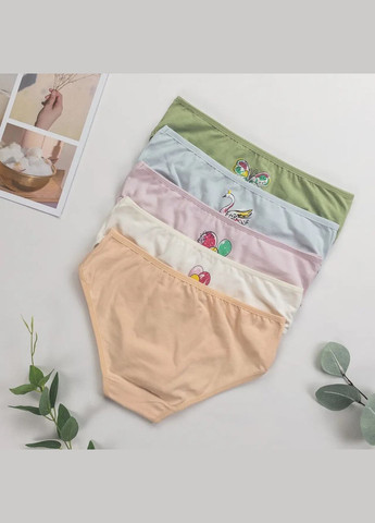 Трусики для девочек, хлопок — набор из 5 штук. Nicoletta Трусики (342119722)