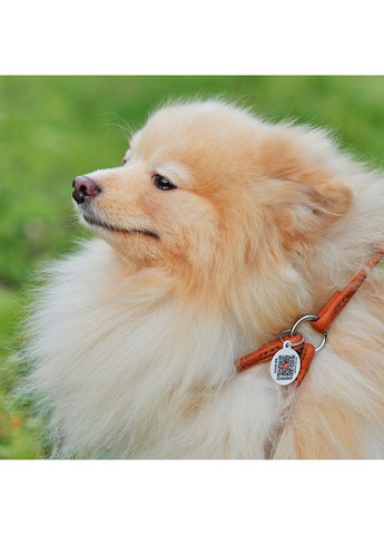 Шлея с поводком для собак кожаная Soft c QR паспортом, круглая, Д 6 мм, А 26-46 см, В 30-50 см WAUDOG (364100298)