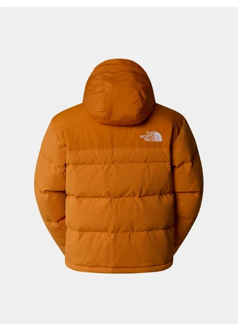 Коричневая демисезонная пуховик 8289412 коричневый n5820 The North Face