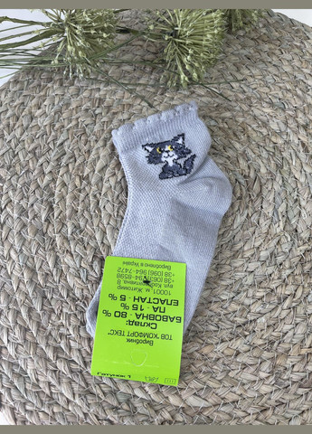 Шкарпетки Житомир Котики (308860356)