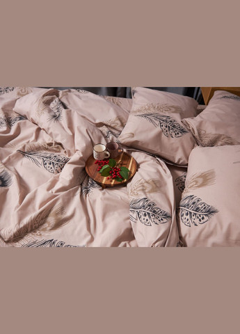 Комплект постельного белья Бязь Gold Люкс семейный 160х220х2 наволочки 2х70х70 (MS-820003217) Moon&Star Feathers (288536259)