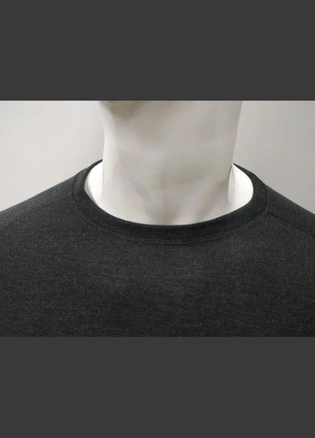 Комплект чоловічої термобілизни Tecnosoft EVO, Anthracite, Accapi (334669743)