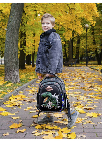 Ранец школьный для мальчиков SkyName 5030 Winner (331532382)