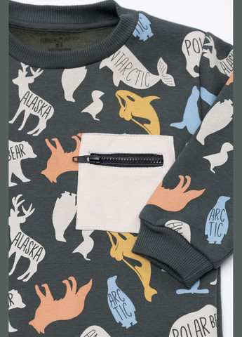 Divonette світшот для хлопчика колір темно-зелений cb-00234637 темно-зелений футер