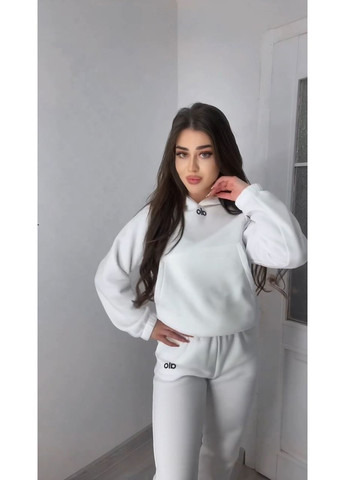 Жіночий спортивний костюм на флісі худі та джогери MonCher (366439857)