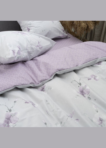 КПБ сімейний ранфорс Viluta 24253-sm (300216061)