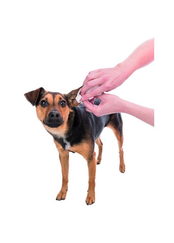 Серветки для догляду за вухами 30шт Trixie (355252783)