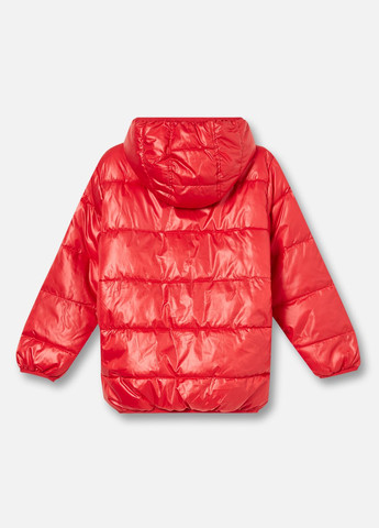 Красная демисезонная куртка для мальчика 122 размер красная wj384 No Brand