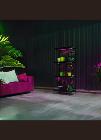 Підставка для квітів, Полиця стелаж для рослин з вбудованим фіто світлом Lima 60 Bicolor Metaplant (300854245)