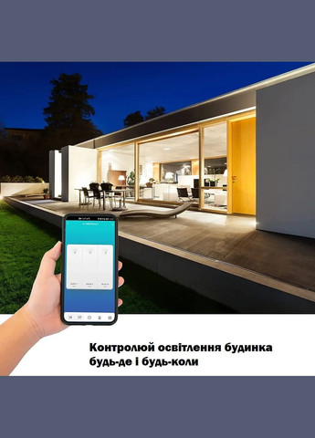 Wi-Fi Вимикач світла на дві клавіші (чорний) No Brand (334302278)