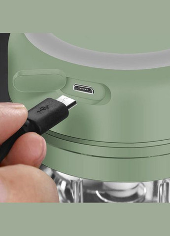 Кухонный портативный измельчитель аккумуляторный FlyHigh ручной блендер для кухни от USB (030g) No Brand (341740874)