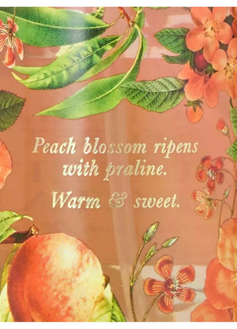 Набор: Спрей для тела и лосьон Sunlit Nectar (Спрей 250 мл + Лосьон 236 мл) Victoria's Secret (349498691)