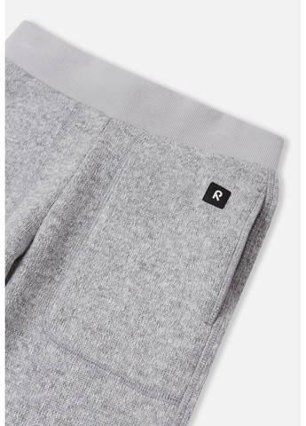 Штани флісові Reima Sangis (356006538)