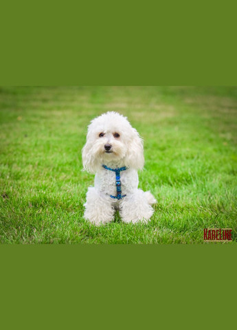 Шлей из нейлона с узором "UFO" и пластиковой пряжкой 15 мм А:350-480 мм, В:400-570 мм Kareline (339075146)