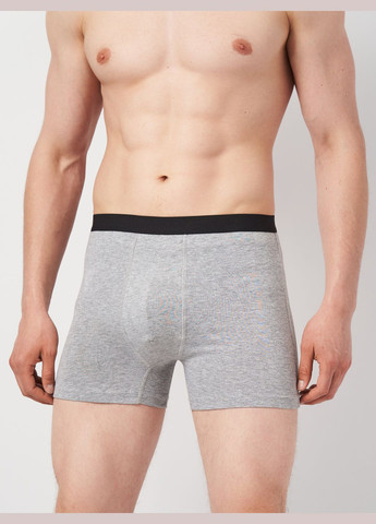 Трусы (3шт) Basic Collection (315007353)