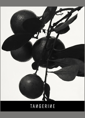 Духи Eau de Parfum 75 мл BY RIHANNA Fenty Beauty Fenty (297056593)