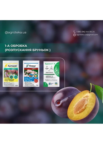 Набір обробки Сливи Syngenta (371638148)