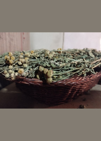 Трава Пижма No Brand (331288960)