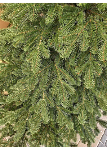 Искусственная литая елка «Швейцарская» 2.1 м зеленая Botanica (360880245)