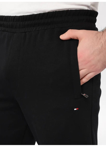 Штани спортивні чоловічі Tommy Hilfiger Classic Logo (362081397)