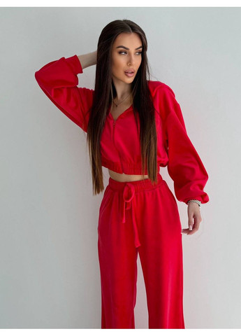 Жіночий велюровий спортивний костюм No Brand Г1469-1218 (356568379)