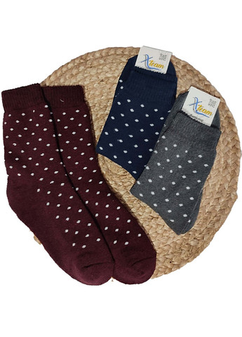 Комбинированные носки женские махровые 6 пар житомир ws 320/6 р.36-40 XTeam горошки (352777528)