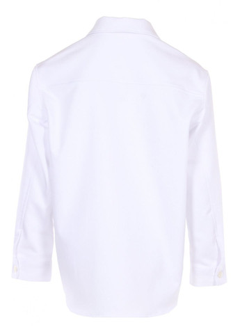 Жіноча сорочка з довгими рукавами (ll191910000) LadyLike (333341028)