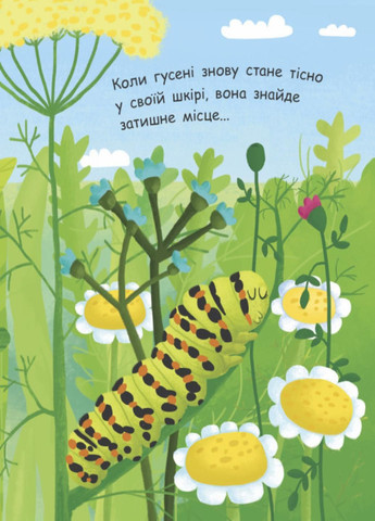 Моя первая энциклопедия: Как рождается бабочка? Автор Конопленко И., Л807010У 9789667488352 РАНОК (289718723)
