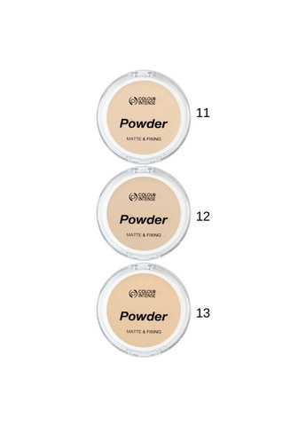 Пудра для лица матирующая Powder Matte&Fixing, 11 светлая Colour Intense (335858454)