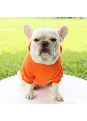 Худі для собак і кішок з капюшоном No Brand (362136087)