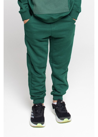 Зеленые демисезонные брюки Ginger Cat