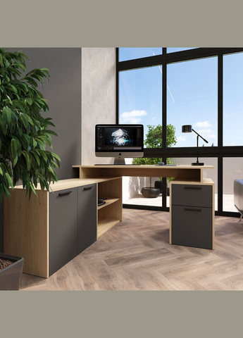 Рабочий стол Tree Art Prismat (318331586)