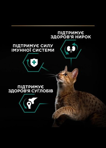 Сухой корм для котов Pro Plan Adult 1 + Renal Plus с курицей 10 кг Purina (332621136)