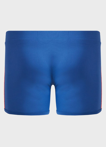 Мужские синие пляжные, спортивные плавки пляжные 2311b1 шорты, семейные Geronimo