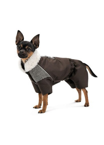 Костюм Locky XXS для собак Pet Fashion (333020541)