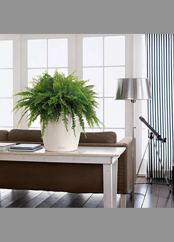 Разумный вазон Classico Color 70 26,5 л белый 13420 Lechuza (316613509)