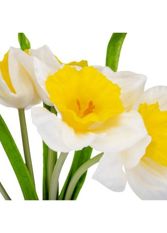 Букет нарцисів Муза білий (9160-051) ELISEY (362413372)
