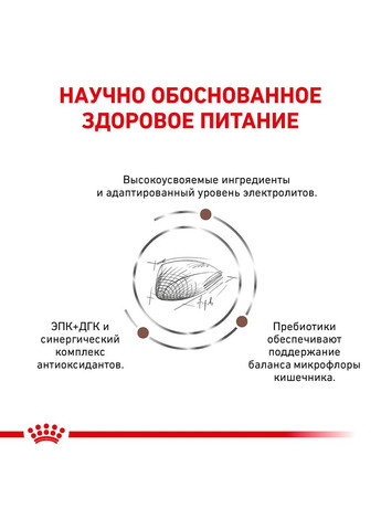 Диета Gastrointestinal для кошек при расстройствах пищеварения 4 кг (3182550771269) Royal Canin (279564263)