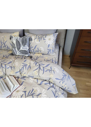 Постельное белье Бискотти, бязь PREMIUM Двуспальный размер, наволочки 50/70 No Brand (364213419)