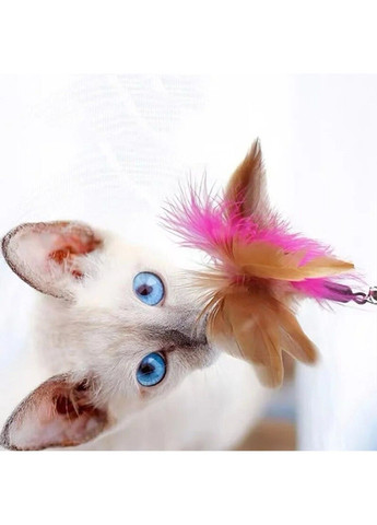 Дразнилка-ошейник для котов с перьями "Happy" Xtep (319664356)