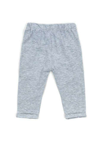 Комбінований демісезонний набір дитячого одягу з жирафом (14354-68g-gray) Miniworld