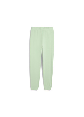 Штани Essentials Logo Sweatpants Men Puma (322845038)