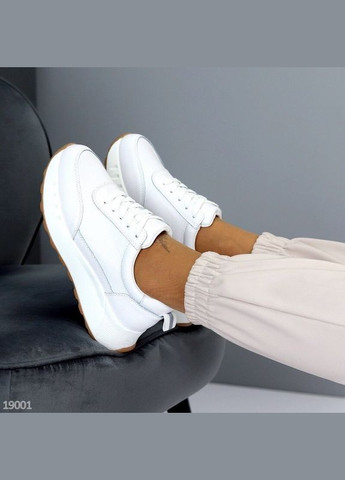 Білі шкіряні жіночі кросівки, білі кросівки KDSL Anthracite білі демісезони (315678578)