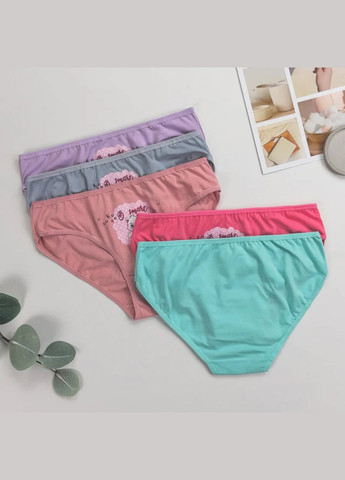 Дитячі трусики для дівчаток, набір 5 штук (Туреччина) Nicoletta (342119715)