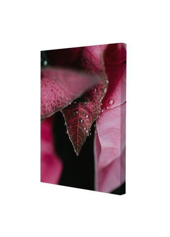 Набор постеров Коралловые цветы (PS-033) 3 шт. Riviera Blanca (303136025)